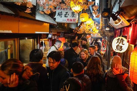 Private Shinjuku Golden Gai Bar Hopping Night Tour