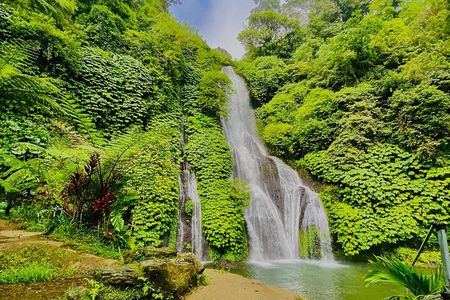 Explore Munduk Customized 6 Hour Day Tour in North Bali 