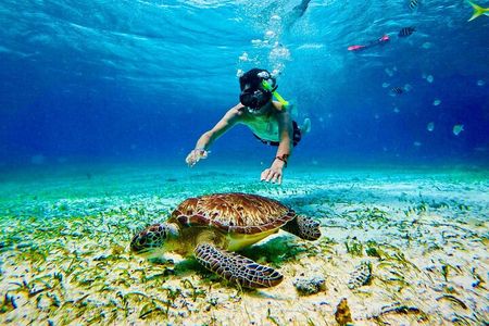 Top Experience: Snorkel Tour & All Inclusive Beach Club