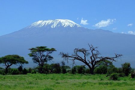 Amboseli National Park and Masai Village Day Trip From Nairobi