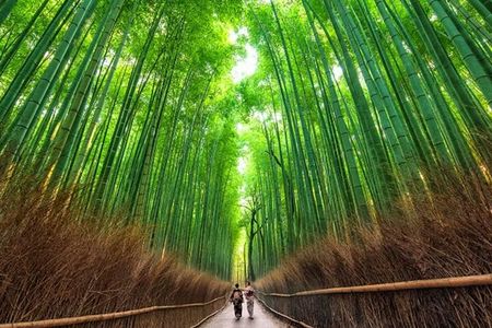 Kyoto: Arashiyama Walking Tour – UNESCO World Heritage