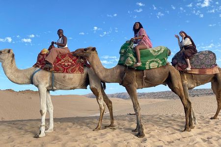 Camel Ride in Timlalin Dunes with luxury Sunset and Mint Tea