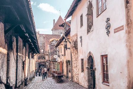 Best of Tallinn: Small Group Walking Tour (Max 10, 3 Hours)