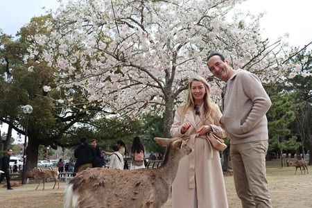 Private Nara Tour and Sake Tasting (Departing from Kyoto/Nara)