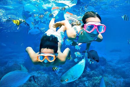 Private Snorkeling Tour at Pigeon Island Trincomalee