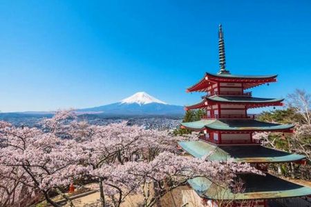 Mt fuji & Hakone customizable day tour w/ English speaking driver