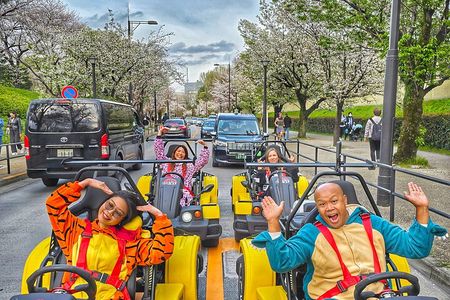 Go Kart Tokyo Spring Tour Experience