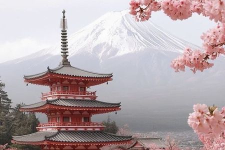 Mount Fuji Customizable one day Private Tour from Tokyo