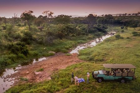 Full/Half Day Kruger Park Safari | Pickup & Drop-off Marloth Park