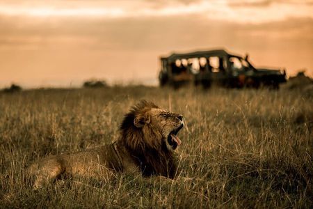 Thrilling 3-Day Private Safari in Masai Mara 