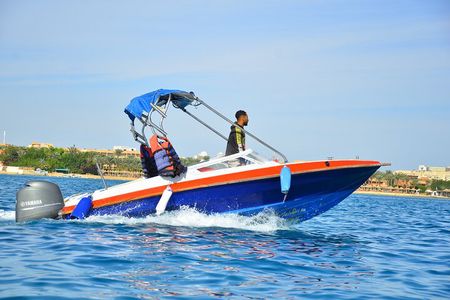 Private Speed Boat to DOLPHINS House & Water activities -HURGHADA