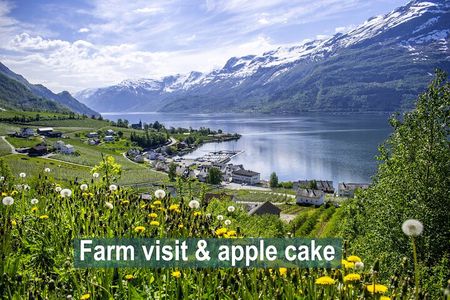 Waterfalls, Fjord - and Apple pie - Bus tour
