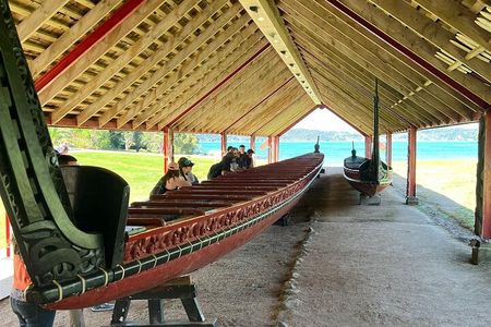 Auckland to Paihia via West Coast Small Group Tour (One Way)