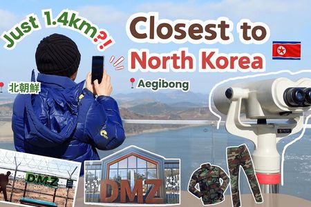 Closest Observatory to DMZ & Suspension Bridge from Seoul