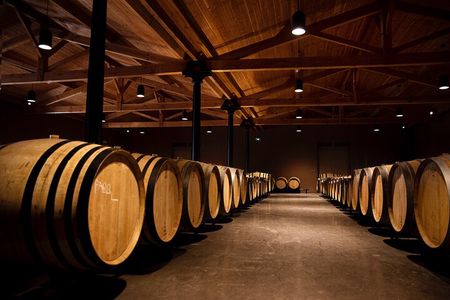 Château de Fieuzal, Pessac-Léognan: Visit and Tasting