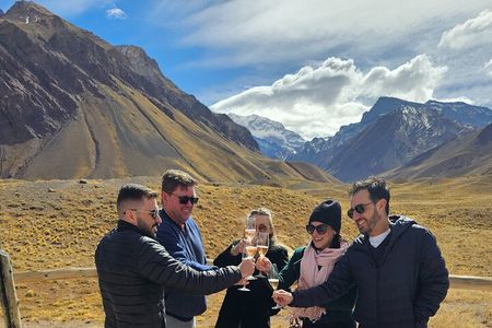 Full Day Tour in Cordillera de Los Andes - Aconcagua