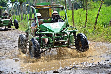 Punta Cana Zip Line, horse riding & Buggy