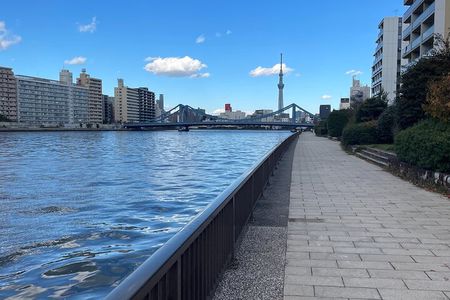 Morning Riverside Walking Tour of Tokyo Hidden Gems