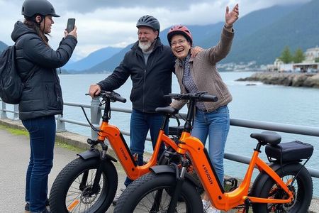 4 Hour Guided E-Bike Tour Stanley Park - Entire 30 Kms Seawall