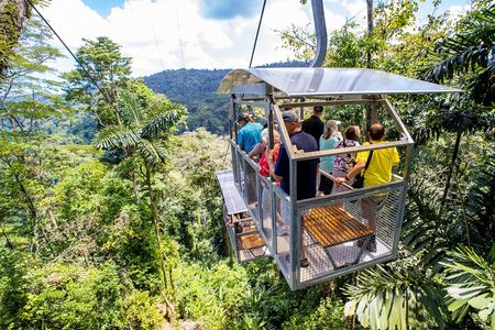 Sky Gondola and Trails at Veragua Rainforest