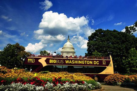 Best of DC: Hop-on Hop-off, Night Tour, and Arlington Audio Guide