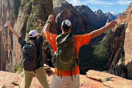 Zion National Park: Half Day Insider 