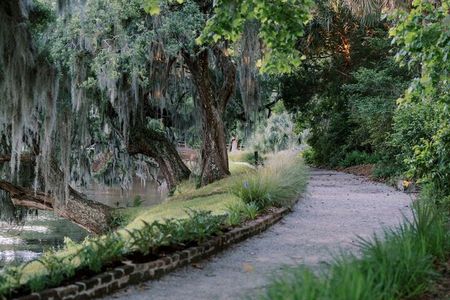 Magnolia Plantation Day Tour with Transportation