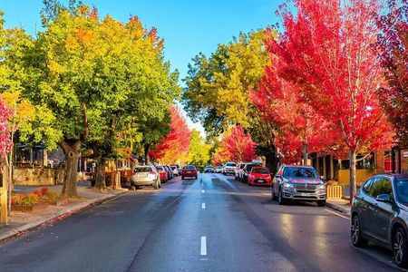 Charms of Hahndorf and Hills Full-day Tour