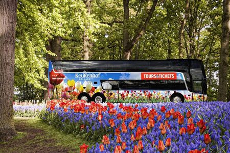 From Amsterdam: Keukenhof Gardens Ticket and Transfer