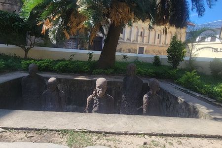 Stone Town Prison Island and Spice Tour