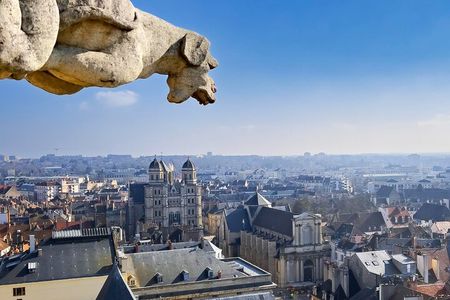 Best Intro to Dijon in 2 hours with a Local