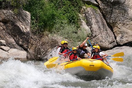 Whitewater Rafting the Salmon River - Full Day