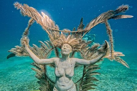 Sculpture Snorkeling Adventure