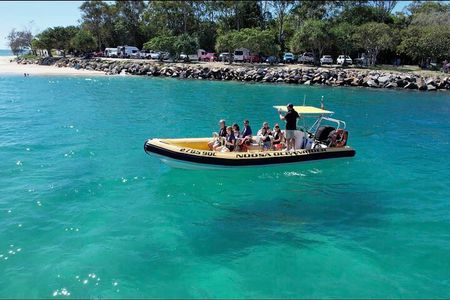 Noosa ocean adventure & Dolphin safari. 