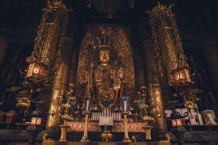 Touch the Buddhas Feet Experience and Sushi Bento in Nara