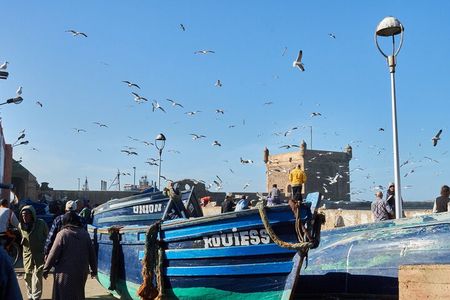 Essaouira Day Trip from Marrakech