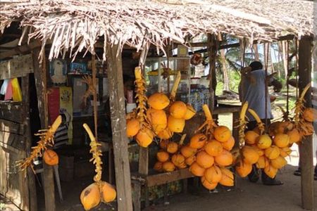 Multi Day Customize Sri Lanka sightseeing Tour with Car & Driver
