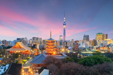 Tokyo Private Group Tour – Flexible Schedule and Stops