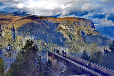 1Day Tour from Bergen to Flåm, Nærøyfjord Cruise & Stegastein 