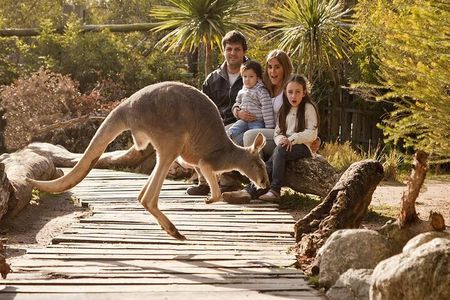 Explore Temaiken: Biopark Tour Experience