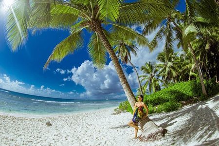 PRIVATE VIP tour Saona Island with Snorkeling, Starfish, Turtles 