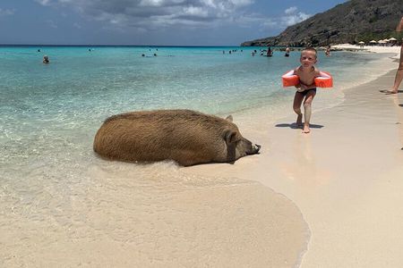 10 Seats Private Van Beach hopping (AC) customizable 