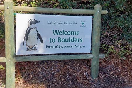 PRIVATE TOUR: Botanical Garden, Muizenberg Beach and Penguins
