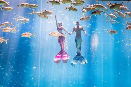 VinWonders & Vinpearl Safari Phu Quoc Island Private Tour