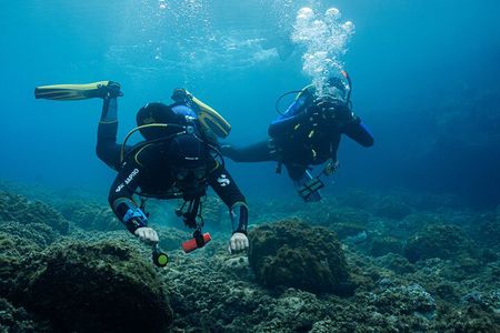 Explore the Mediterranean with Two Guided Dives in Small Groups