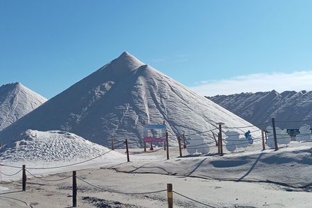 From Alicante to Tabarca, Santa Pola and entrance to the Pink Lagoon