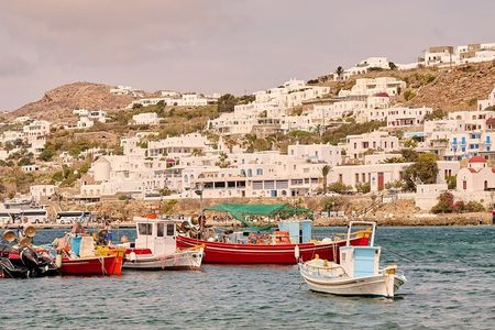 4 Hours Mykonos Tour Local Edition