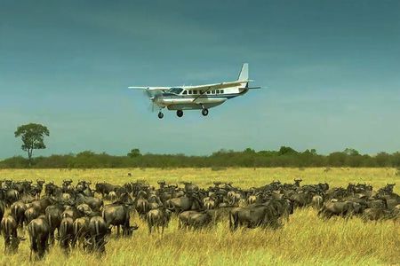 Day Trip to Selous (Nyerere) National Park Flying from Zanzibar 
