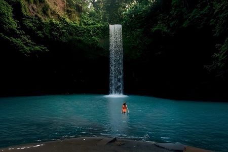Ubud Private Tour: All-Inclusive Waterfalls, Swing, Rice Terraces