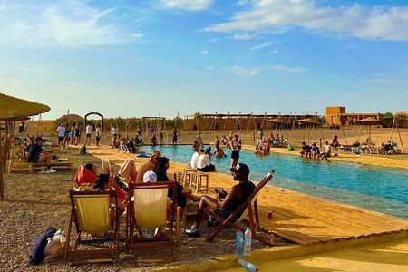 Sunset Desert Safari with Quad Bike, Camel Ride, Dinner Show